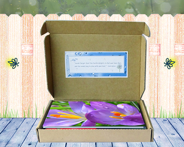 In the Meadow Greeting Card Collection by The Poetry of Nature - open box view